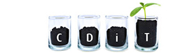 C-DiT - Center for Diskurs i Transition C-DiT - Center for Diskurs i Transition
